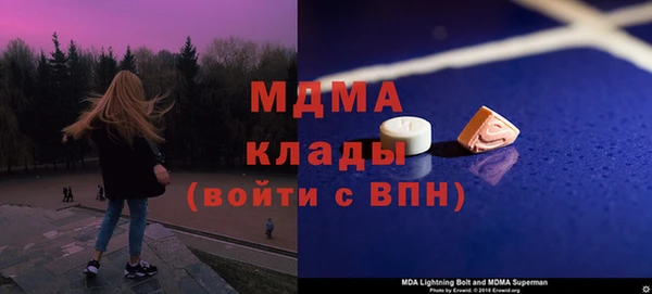 стаф Верея