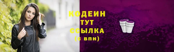 стаф Верея