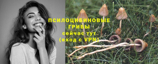 хмурый Верхний Тагил