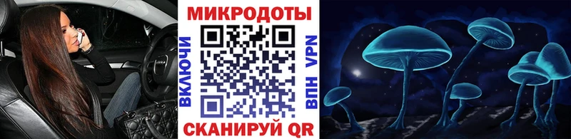 Псилоцибиновые грибы Cubensis  купить наркотики цена  Катайск 